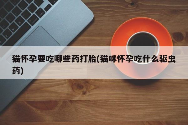 现在买打胎药怎么买多少钱猫怀孕要吃哪些药打胎(猫咪怀孕吃什么驱虫药)
