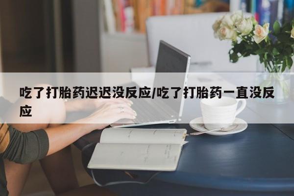 现在买打胎药怎么买多少钱吃了打胎药迟迟没反应/吃了打胎药一直没反应