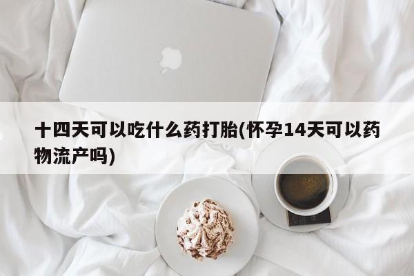 现在买打胎药怎么买多少钱十四天可以吃什么药打胎(怀孕14天可以药物流产吗)