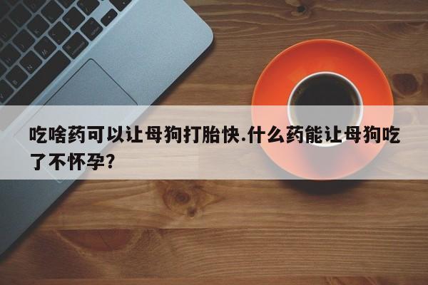 现在买打胎药怎么买多少钱吃啥药可以让母狗打胎快.什么药能让母狗吃了不怀孕？